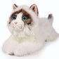 Ice King Bear 16' Realistic Ragdoll Cat Stuffed Animal 2Lb Fluffy Plush Toy Large