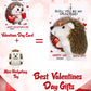 Blueweenly 24 Sets Valentines Day Gifts Mini Hedgehog Stuffs Bulk With Hedgehog Themed Cards Animal Plush Stuffed Keychain Frien