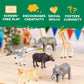 Terra by Battat Wild Life Set - 6 Realistic Animal Toy Figures for Kids 3+ - Model AN6061BZ - Durable Plastic