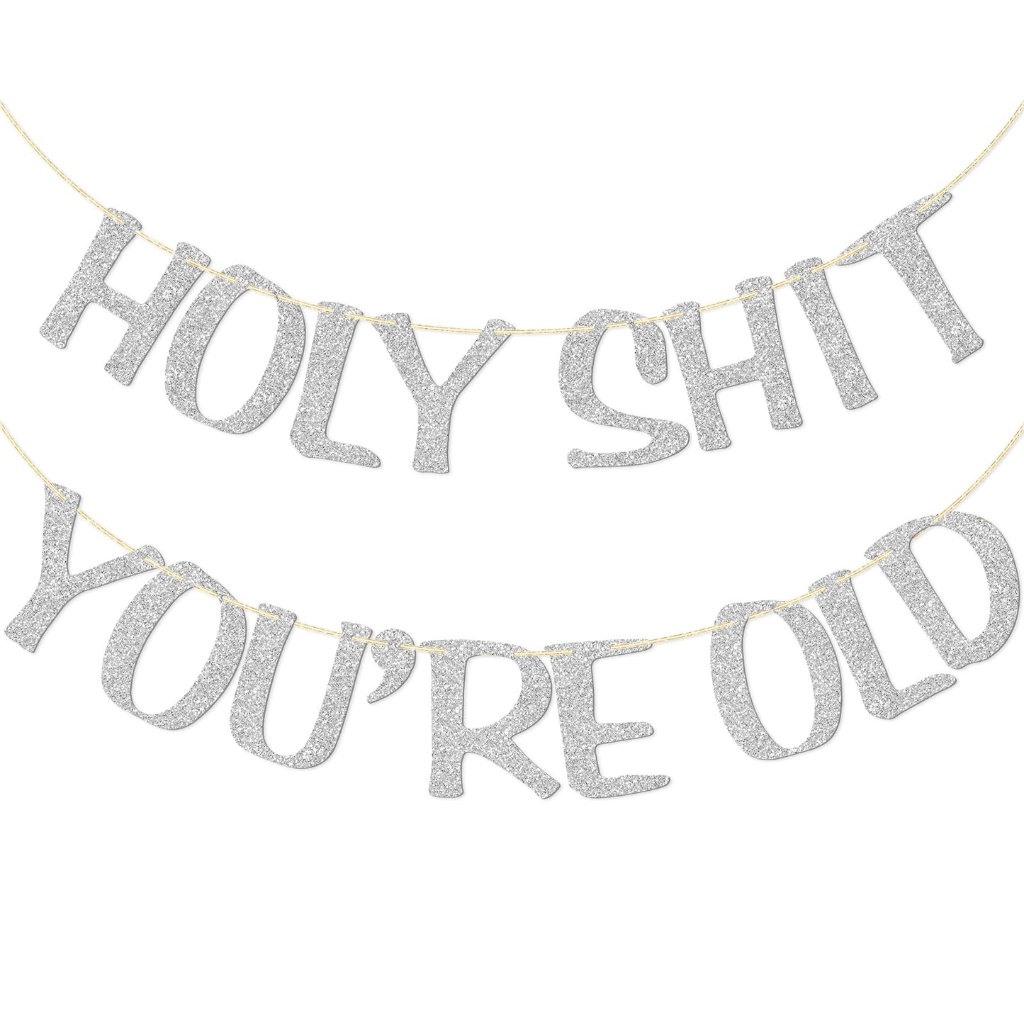 Holy Shit You'Re Old Banner Silver Glitter For 30Th 40Th 50H 60Th 70Th 80Th 90Th Funny Birthday Banner Sign Bunting Party Decor Photo Booth Props (Silver)