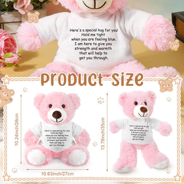 Lenwen A Bear Hug Gift Get Well Soon Bear Gift Sympathy Gift For Women Plush Stuffed Animal Bear Hug Thinking Of You Gift Condol