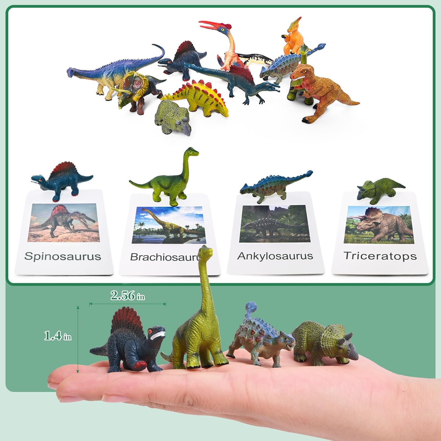 12 Preschool Science Toys - Educational Materials With Animal Matching Models Flash Cards, Animal Figurines For Kids (Dinosaur)