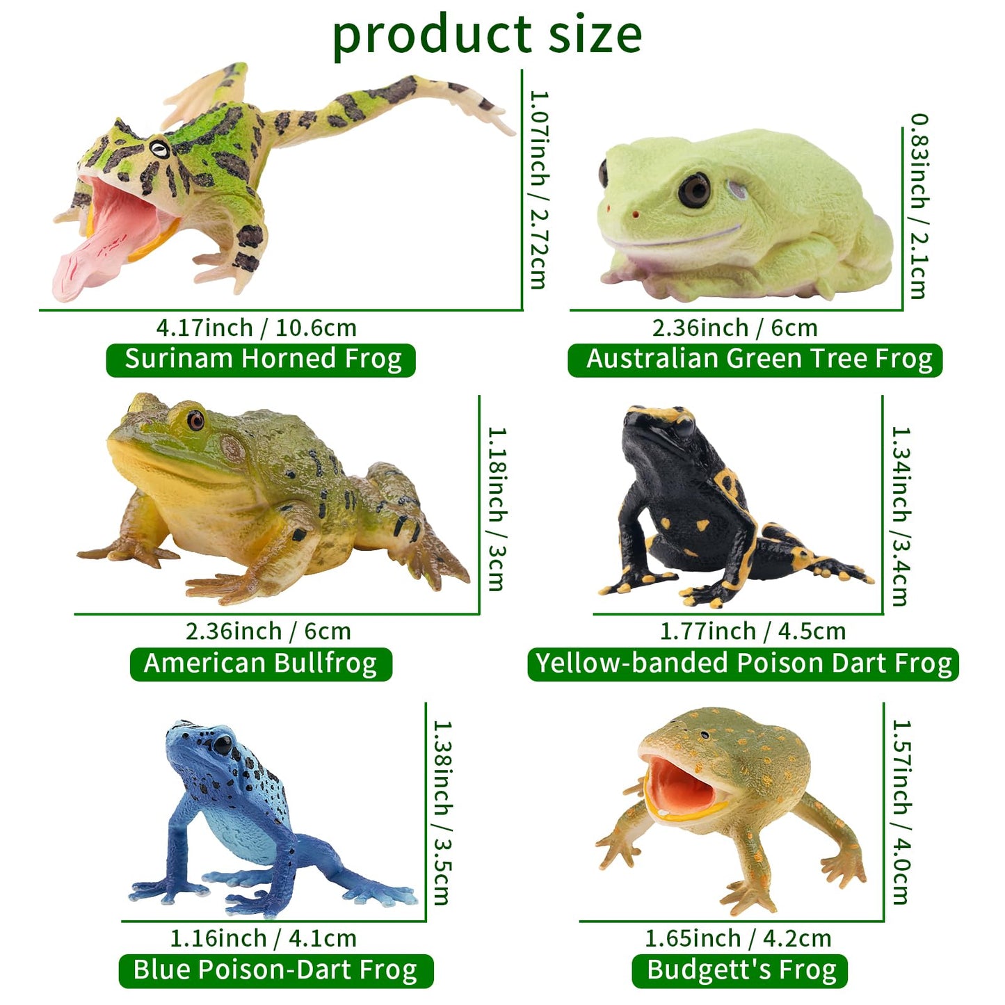 Toymany Frog Toy Figures Set - 10pcs Realistic Plastic Rainforest Animals - Model QINGWA01-10P001 - Perfect for Cake Toppers and Decor
