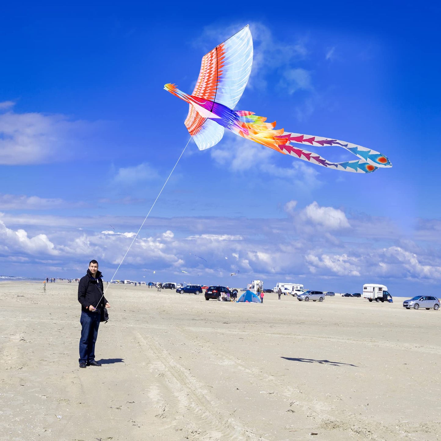 Mint’S Colorful Life Rainbow Phoenix Kite For Kids And Adults, Easy To Fly Large Beach Kites