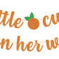 A Little Cutie Is On Her Way Banner, Little Cutie Banner, A Little Cutie Is On The Way Baby Shower Decorations, Girl Orange Theme Birthday Party Decorations Supplies