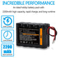 Tectra 12V RC Battery with Bare Leads, 2200mAh High Capacity Ni-MH 10 Cells Rechargeable Battery Pack for RC Car, RC Boat, RC Ro