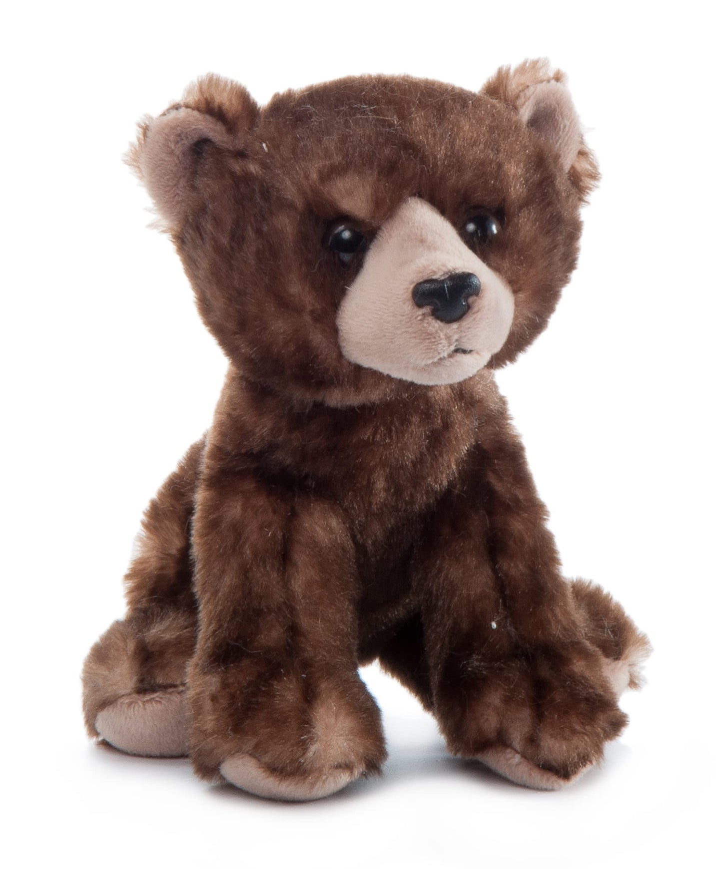 The Petting Zoo Brown Bear Stuffed Animal Plushie, Gifts For Kids, Wild Onez Babiez Zoo Animals, Brown Bear Plush Toy 6 Inches