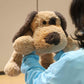 WEIGEDU Floppy Stuffed Dog Toy, Plush Beagle Labrador, 20" Large, Brown