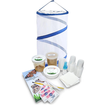 Nature Gifts Live Butterfly Kit - School-Sized Educational Experience With 32 Painted Lady Caterpillars - Pop-Up Cage, And Compr