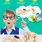 Poraxy Dinosaur Toys, 4 In 1 Stem Kits For Kids Age 8-10, Toys For Ages 8-13, Educational Science Building Projects, 3D Wooden Puzzles Robot Crafts, Gifts For Boys Girls 7 8 9 10 11 12 13 Year Old