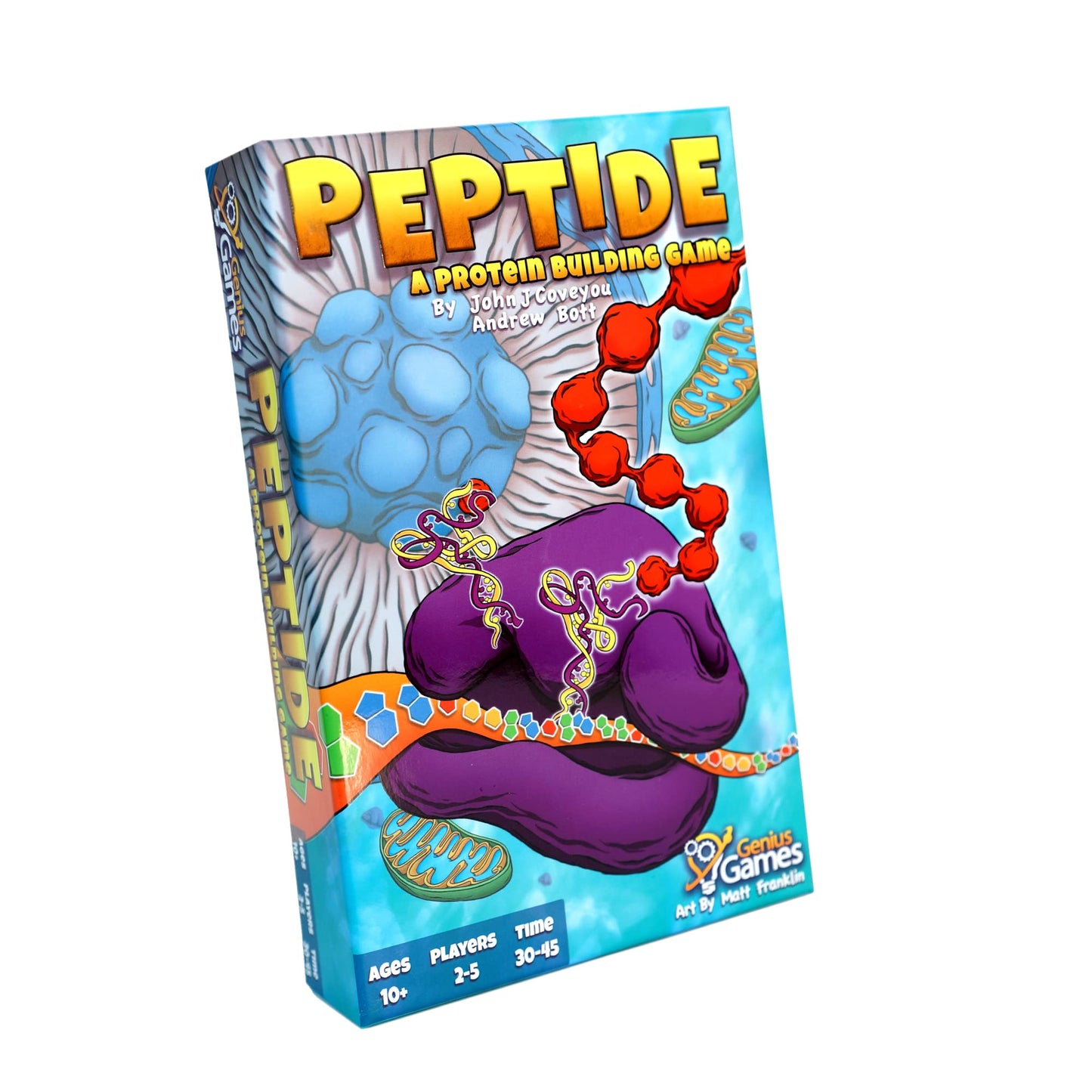 Genius Games Peptide Strategy Card Game | Teaches Amino Acids | Small Red Paper Model GOT1003