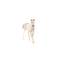 Schleich Horse Club, Holsteiner Foal Horse Figurine, Ages 5+