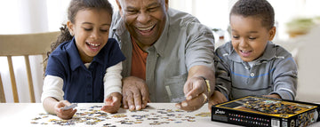 Youthefan Nhl Boston Bruins Purebred Fans 500Pc Puzzle - A Real Nailbiter