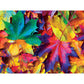 Fall Frenzy 550 Piece Jigsaw Puzzle