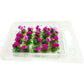 Prettylife 20Pcs Miniature Flower Cluster Grass Flower Tufts For Mini Dollhouse Fairy Garden Railway Simulated Static Scenery Micro Landscape Model (Rose)