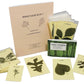 Young Naturalist Leaf Identification Kit
