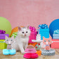 Chinco 9 Pcs Cat Party Centerpieces for Tables Cat Birthday Party Decorations Honeycomb Cat Party Supplies Cat Party Favor Table