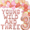 Joymemo Groovy 3Rd Birthday Party Decorations, Young Wild And Three Daisy Flower Balloons Garland Kit, Groovy Retro Boho Girls Third Birthday Party Supplies