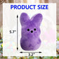 Giantmicrobes Endometriosis Plush- Learn About Health, Fertility And This Chronic Inflammatory Disease, Get Well Gift For Post-S