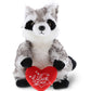 DolliBu I Love You Valentine Plush Raccoon - Cute Stuffed Animal with Red Heart and Name Personalization Gift for Valentines Day  Birthday  Anniversary  Romantic Date - 9 Inches