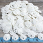 Real Sand Dollars Under 1 (200 Pack) - Sand Dollar Wall Art & Ornament Set - Beach Wedding Decor - Nautical Party Table Decor -