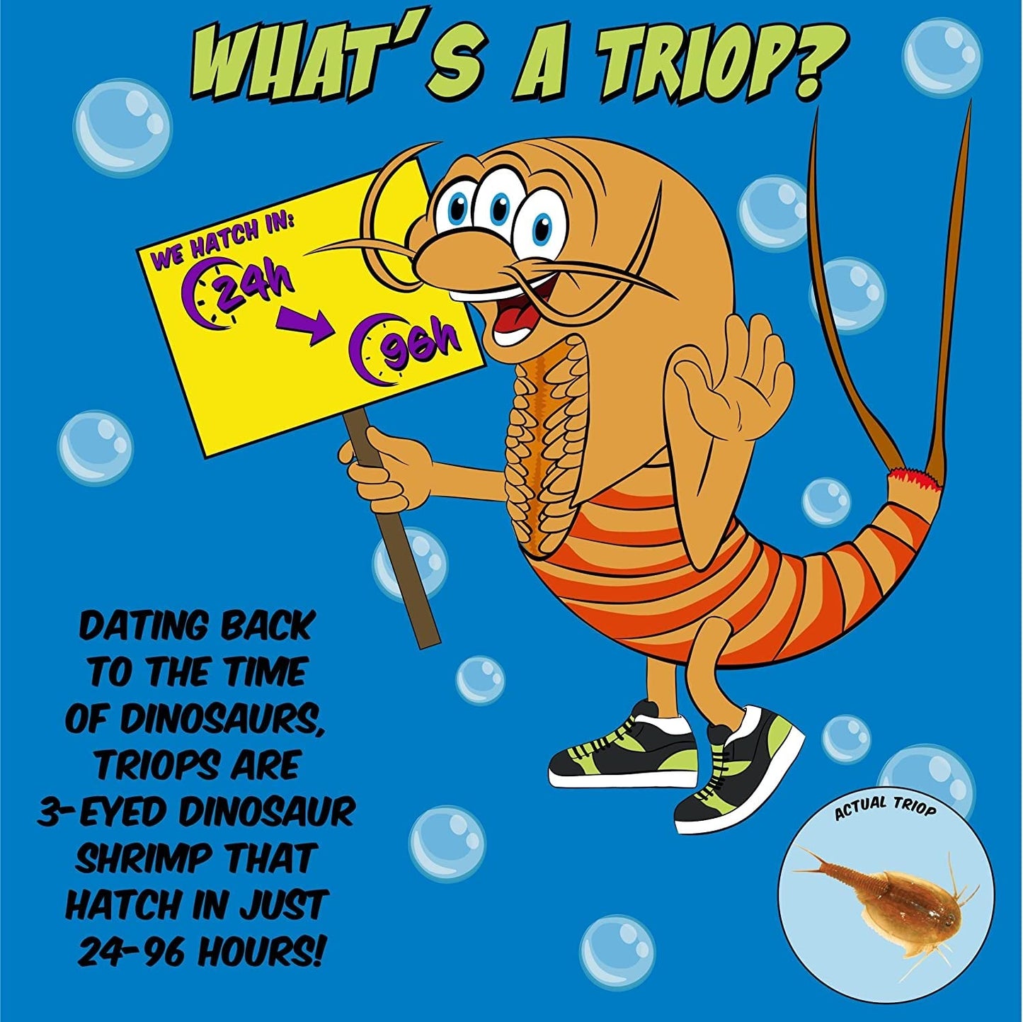 Triassic Triops - Triops Kit, Contains Eggs, Aquarium, Food, Instructions And Helpful Hints To Hatch And Grow Your Own Prehistor
