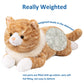 Litence Cat Weighted Plush Toy, 21" Orange Cat Pillow, 3.9 lbs Realistic Stuffed Animal for Kids, Cute Kitten Gift