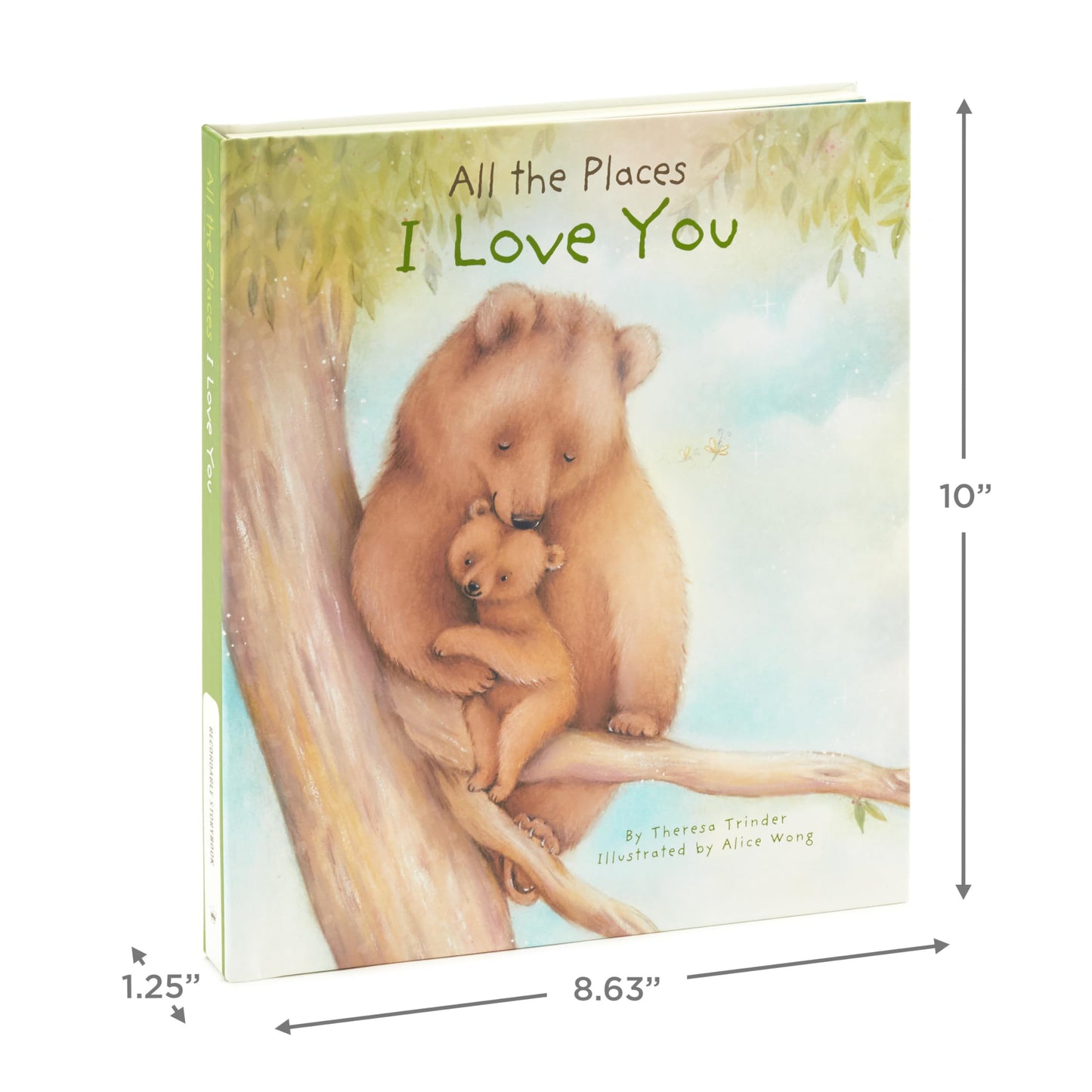 Hallmark Recordable Book With Music For Children (All The Places I Love You)