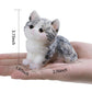 Nansike Taba Squishy Cat Kit,Cute Squishy Toys,Bag Charms,Suitable For Cat Memorial Gifts For Women (Silicone Slow Rebound Feel)