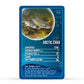 Freshwater Fish Top Trumps Card Game