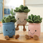 Evlooe 3Pcs Succulents Plush Toy, Cute Succulents Plushies, Stuffed Potted Plants Plush Doll, Soft Plush Succulent Gifts For Kid
