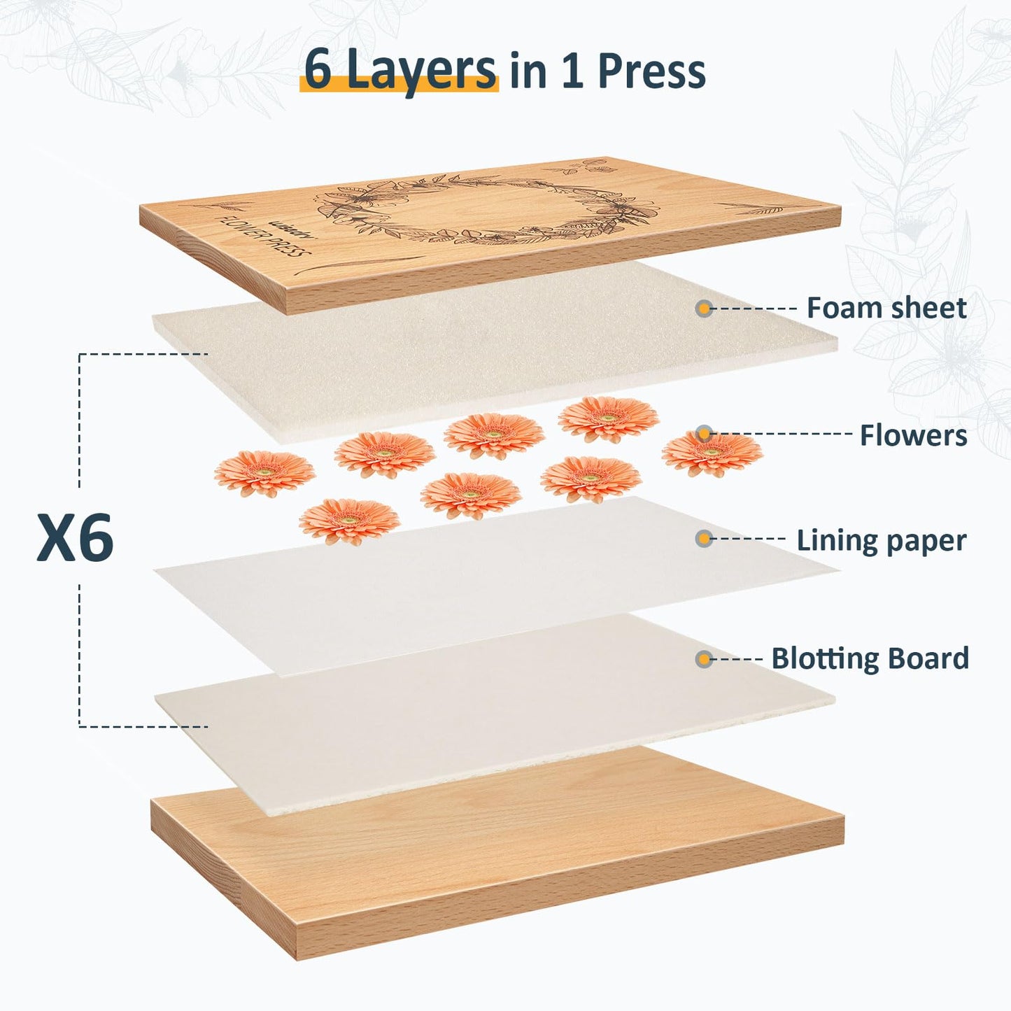 wisedry Flower Press Kit, 10 x 6 inch, 6 Layers, Wood, Yellow-Brown, Includes Gift Box & User Guide, Model NFPK-CP034