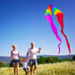 HENGDA KITE Colourful Triangle Kite with Two Tails for Kids Beginners and Adults Easy to Fly and Assemble Suitable for Outdoor A