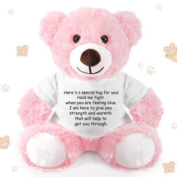 Lenwen A Bear Hug Gift Get Well Soon Bear Gift Sympathy Gift For Women Plush Stuffed Animal Bear Hug Thinking Of You Gift Condol