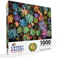 Cross & Glory 1000 Piece Jigsaw Puzzle - Succulent Symphony, Large, Premium Quality Cardboard, Colorful Artwork, Model CG-M-021