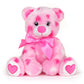 Bearington Beary Blue Without You 10-inch Valentines Day Teddy Bear Plush - Miss You Gifts for Women - Get Well Soon Bear - Stuffed Animal Toy