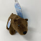 Spunky Pup Clean Earth Plush Bear | Made From 100% Recycled Water Bottles | Small,Brown,7262