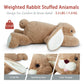Niuniu Daddy 20'' | 3.3 Pound Bunny Weighted Stuffed Animals for Kids Adults, Soft Rabbit Plush Animal Calming Toys for Sleeping