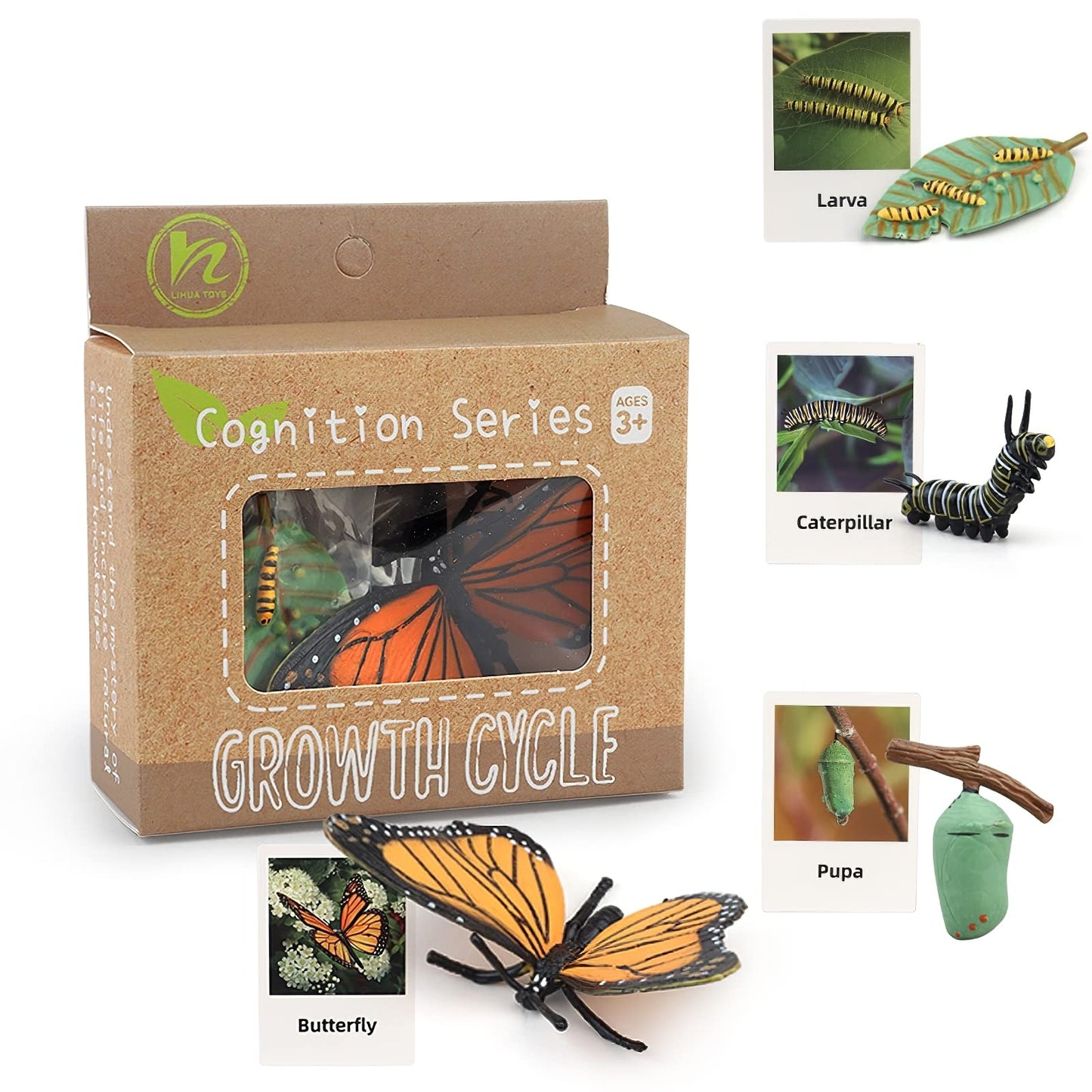 Montessori Life Cycle Animal Figures With Flash Cards, Plastic Insects Monarch Butterfly Kit Caterpillar Toy For Kids, Realistic Animal Figurines (Butterfly)