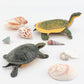 Gufoponas Large Turtle Toys For Kids 2Pcs Realistic Plastic Red-Eared Slider Tortoises Figurine Brazilian Tortoise Figurines Pla