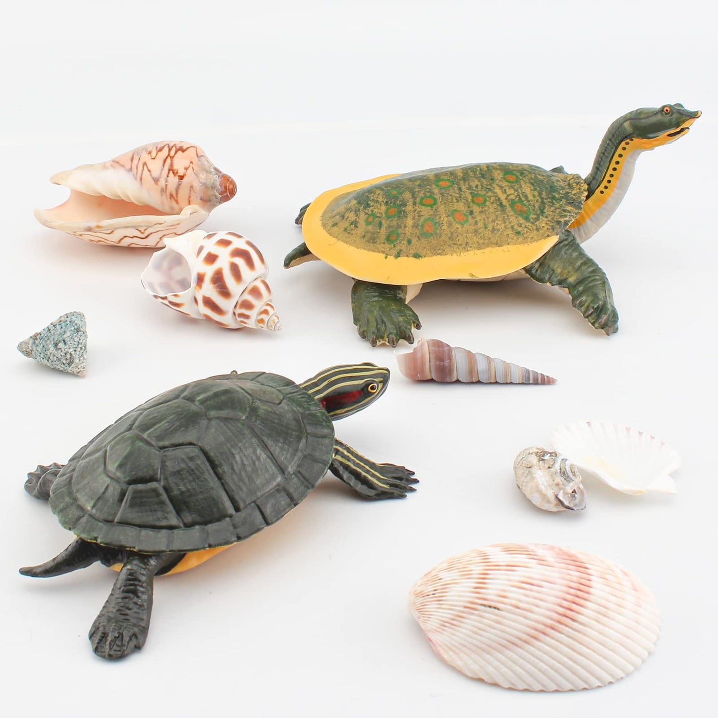 Gufoponas Large Turtle Toys For Kids 2Pcs Realistic Plastic Red-Eared Slider Tortoises Figurine Brazilian Tortoise Figurines Pla