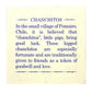 The Joy Tree Chanchito 3 Legged Pig - Good Luck Token Of Abundance And Happiness, Small 2 X 2 X 2