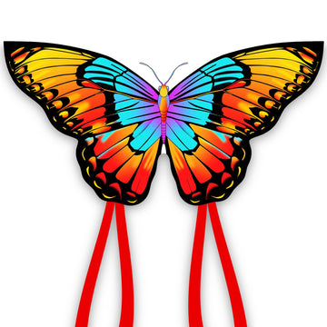 Xida Rainbow Butterfly Kites For Kids & Adults,Easy To Fly Beginner Kite, Large Single Line Kite For The Beach, Outdoor, Easy Fl