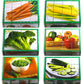 Stages Learning Real Picture Vegetables Wooden Cube Language Builder Preschool Puzzle (12 Piece), Green