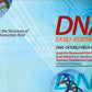 Dna Double Helix Model