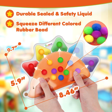 Color Sorting Toys Sensory Toys : Fine Motor Skill Games Learning Toys For Toddlers, Color Matching Preschool Activities Educational Calm Down Toys Montessori Toys For Kids Boys Girls Gifts Ages 3+