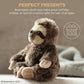 Bearington Lil' Speedy Small Plush Stuffed Animal Three Toed Sloth  6.5 inches