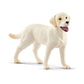 Schleich Farm World, Animal Toys For Boys And Girls Ages 3-8, 3-Piece Playset, Dog Walker With Labrador Retriever