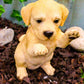 Ebros Realistic Begging Adorable Labrador Puppy On Hind Legs Statue 6.25' Tall Pet Pal Labradors Dog Breed Collectible Lifelike Details Resin Decor Figurine With Glass Eyes Animal Sculpture