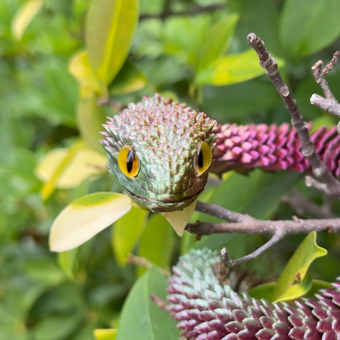 3D Printed Snake Toys,3D Printed Animals,Articulated Flexible 3D Printed Viper Fidget Toy,Realistic Slithering Design, Collectib